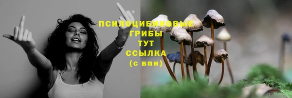 гидропоника Абдулино