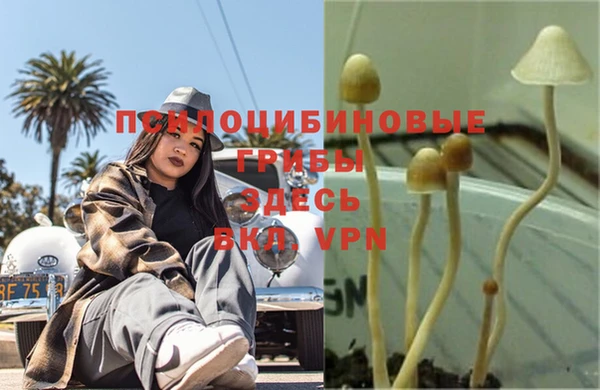 гашиш Абаза