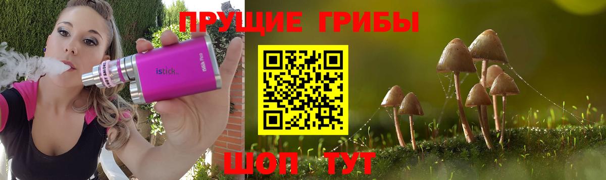 Псилоцибиновые грибы мицелий  Вход с VPN  Заволжье  купить наркотик  Псилоцибиновые грибы прущие грибы 